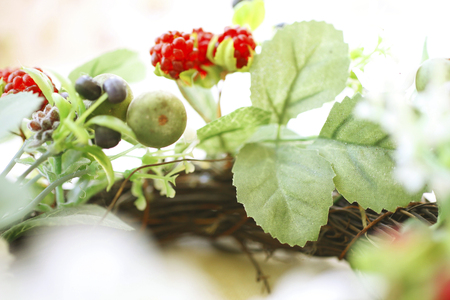 Lease of the nutsの写真素材