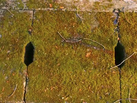 The mossy culvertの写真素材