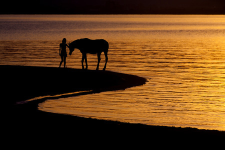 Lakeside horse and women silhouetteの写真素材