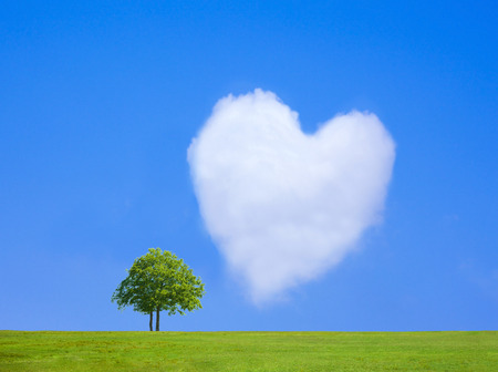 Grassland and trees and Heart of cloudsの写真素材