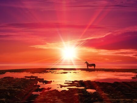 Sunrise and horseの写真素材