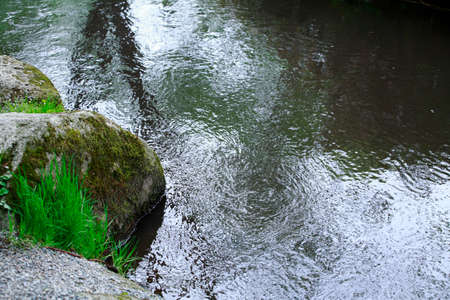 Kappa-Buchi pool