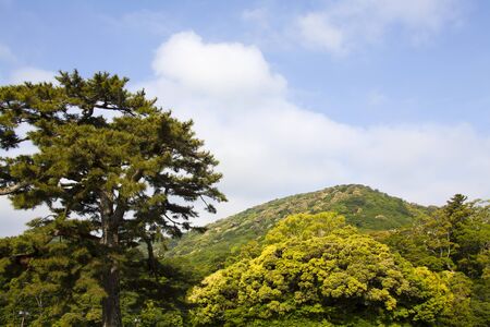 Mt. kamiji kamijiyamaの写真素材