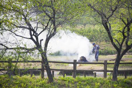 Grass grilledの写真素材