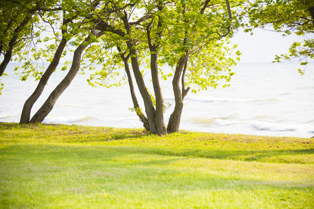 Lake Roadの写真素材