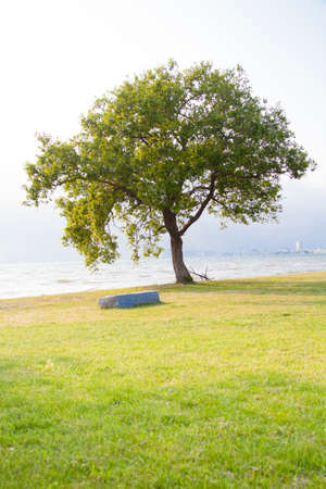 Lake Roadの写真素材