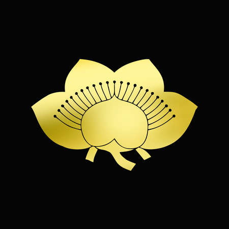 Ebiraume Ebi-raumeの写真素材