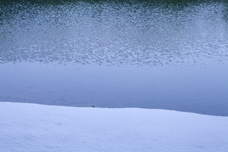Mtsji Temple  oizumi GA pondの写真素材