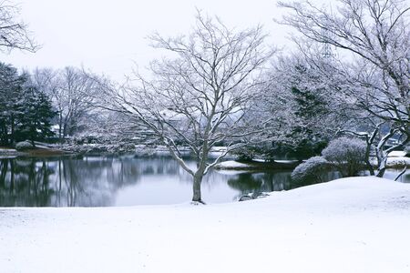 Watch kanjizai Maizuru months pondの写真素材