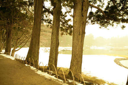 Mtsji Temple  oizumi GA pondの写真素材