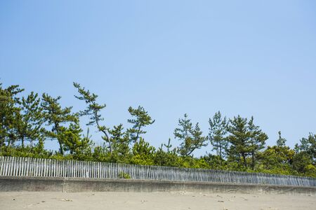 Iwashiro beach windbreaks