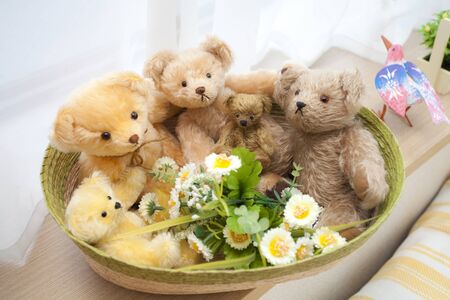 Teddy bearの写真素材