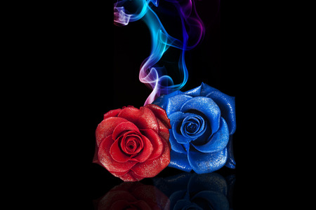 Rose and smokeの写真素材