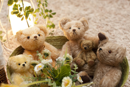 Teddy bear