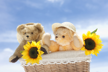 Teddy bear with sunflowerの写真素材
