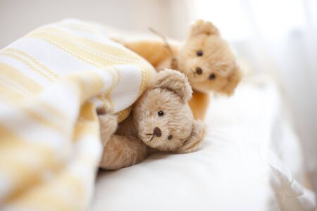 Teddy bear duvet out of faceの写真素材