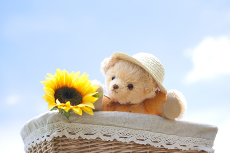 Teddy bear with sunflowerの写真素材
