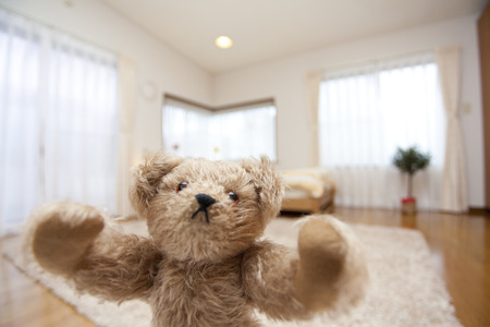 Teddy bearの写真素材