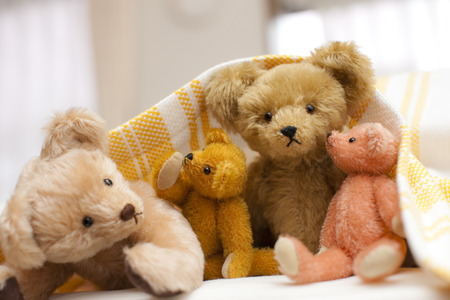 Parent-child put in an appearance teddy bear from futon
