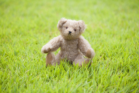 Teddy bear sitting on the prairieの写真素材