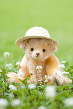 Teddy bear wearing a straw hatの写真素材