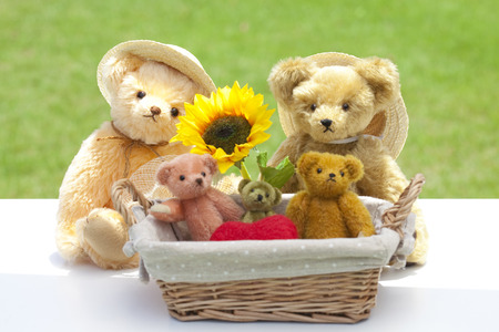 Teddy bear family