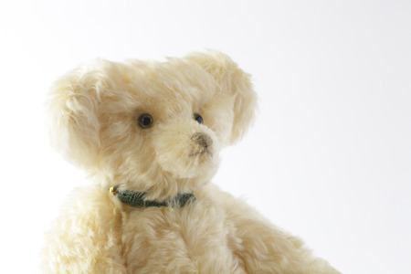Teddy bear