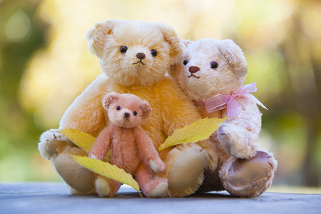 Teddy bear familyの写真素材