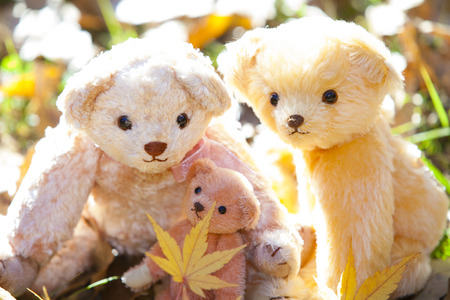 Parent-child teddy bear sitting on fallen leavesの写真素材