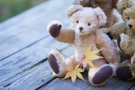 Teddy bearの写真素材