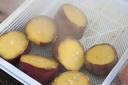 steamed sweet potatoの写真素材