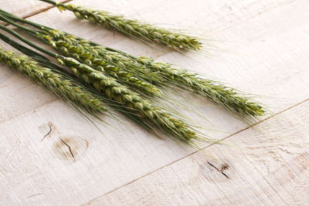 The ears of wheat