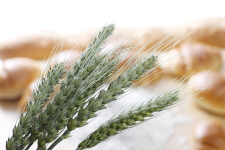 Bread and flour and wheatの写真素材
