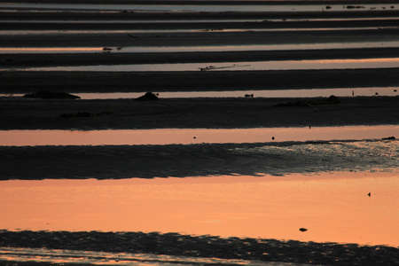 Ariake Sea of flats