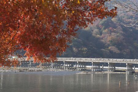 Fall foliage and togetsu-Kyo