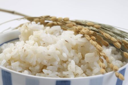 Barley riceの写真素材