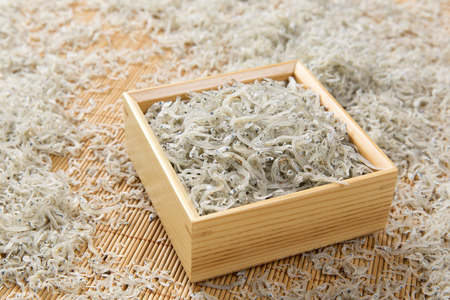 Dried sardinesの写真素材