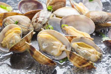 Steamed clamsの写真素材