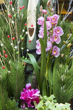 Kadomatsuの写真素材