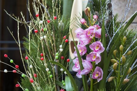 Kadomatsuの写真素材