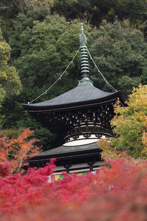 Eikando Temple taho and autumn leavesのeditorial素材