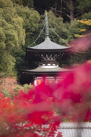 Eikando Temple taho and autumn leavesのeditorial素材