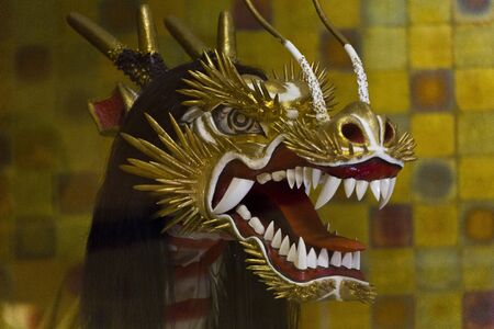 Dragon snake danceの写真素材