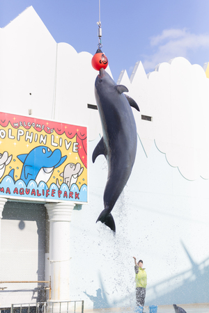 Suma aqualife Park Delphinariumのeditorial素材