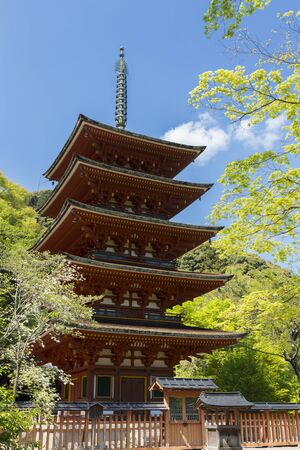 Hase-dera Temple five-story pagoda ofのeditorial素材