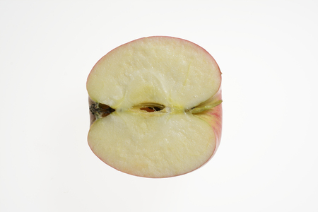 Apple cross-sectionの写真素材