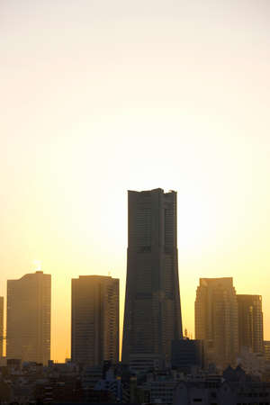 Arrayのeditorial素材