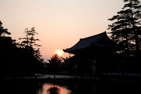 Arrayのeditorial素材