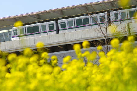 Arrayのeditorial素材