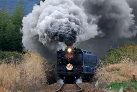 Arrayのeditorial素材